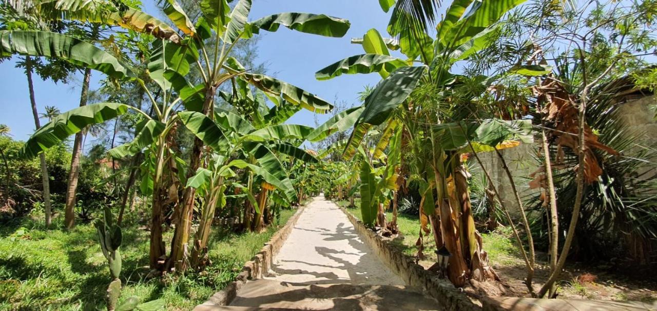 Bahati Villa Kiwengwa  Dış mekan fotoğraf
