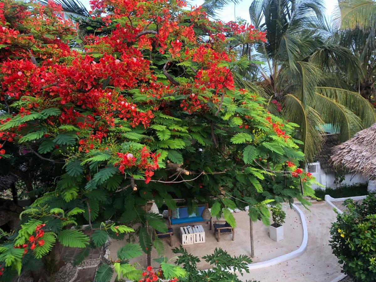 Bahati Villa Kiwengwa  Dış mekan fotoğraf